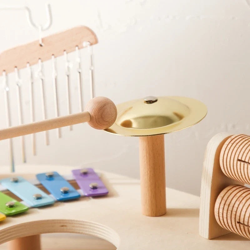 Montessori Educational Children's Musical Toys