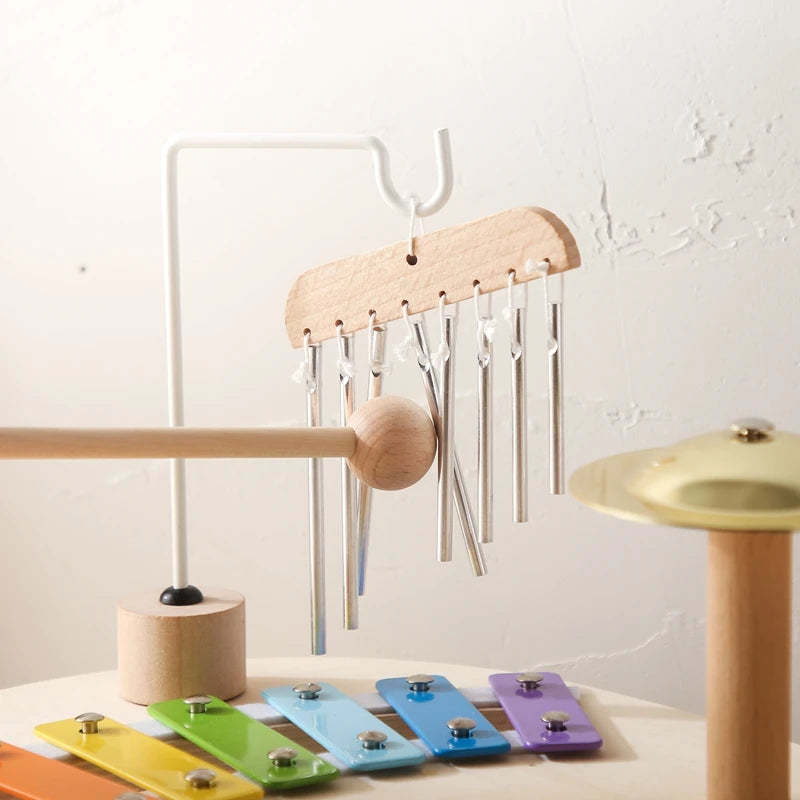 Montessori Educational Children's Musical Toys