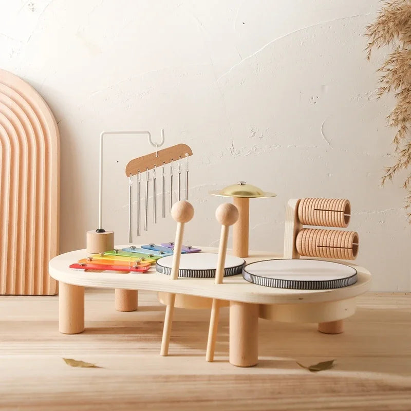 Montessori Educational Children's Musical Toys