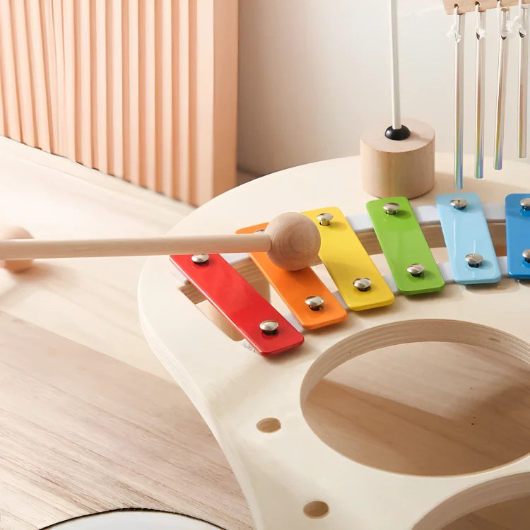 Montessori Educational Children's Musical Toys