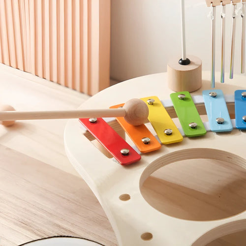 Montessori Educational Children's Musical Toys