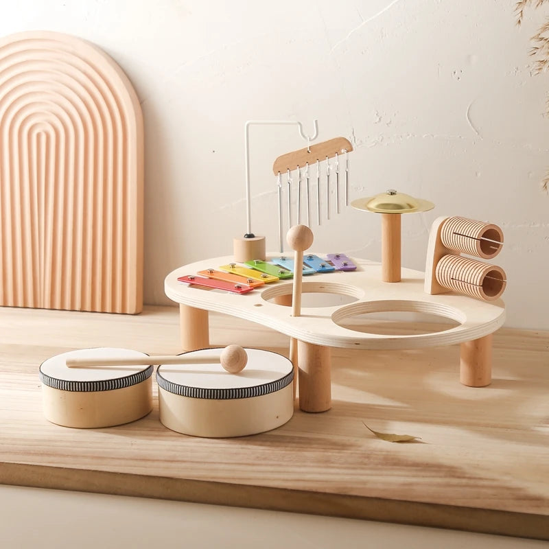 Montessori Educational Children's Musical Toys